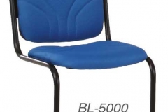 BL-5000