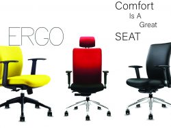 Ergonomic Chair- ERGO