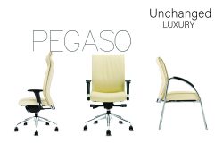 Executive Office Chair- PEGASO