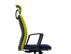 [ERLS 5510F-A66] Ergo Presidential High Back Chair with Fixed Armrest