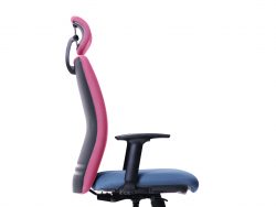 [ERLS 5510F-D36] Ergo Presidential High Back Chair with Adjustable Armrest