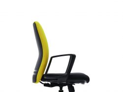 [ERLS 5511F-A66] Ergo Presidential Medium Back Chair with Fixed Armrest