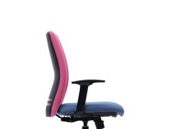 [ERLS 5511F-D36] Ergo Presidential Medium Back Chair with Adjustable Armrest