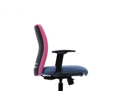 [ERLS 5512F-D36] Ergo Presidential Low Back Chair with Adjustable Armrest