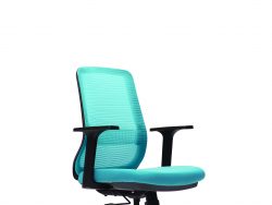[PSLS 8712N-A60] Pro Mesh Executive Low Back Chair with Fixed Armrest