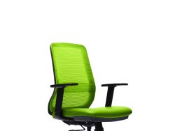 [PSLS 8712N-D34] Pro Mesh Executive Low Back Chair with Adjustable Armrest