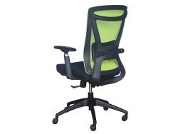 [NT-59(LB)-C] Low Back Ergonomic Mesh Chair