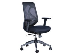 [NT-75(LB)-C] Low Back Ergonomic Mesh Chair