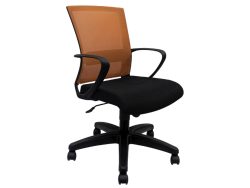 [NT-33-PP] Low Back Mesh Chair
