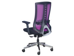 [NT-65(LB)-C] Low Back Ergonomic Mesh Chair