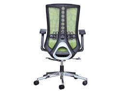 [NT-65(LB)-S] Low Back Ergonomic Mesh Chair