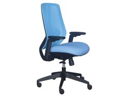 [NT-68(LB)-BLK] Low Back Ergonomic Mesh Chair