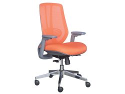 [NT-68(LB)-GY] Low Back Ergonomic Mesh Chair