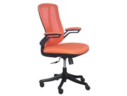 [NT-72(LB)-BLK] Low Back Ergonomic Mesh Chair