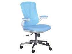 [NT-72(LB)-WH] Low Back Ergonomic Mesh Chair