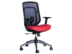 [NT-73(LB)-C] Low Back Ergonomic Mesh Chair