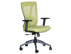 [NT-74(LB)-C] Low Back Ergonomic Mesh Chair
