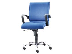 [EX-75] Euphorbia Low Back Chair