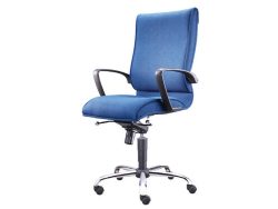 [EX-76] Euphorbia Medium Back Chair