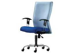 [EX-87] Forsythia Medium Back Chair