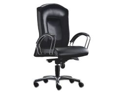 [LT-112] Taurus Low Back Chair