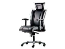 [LT-130] Cancer High Back Chair