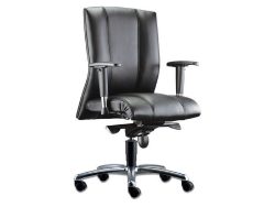 [LT-132] Cancer Low Back Chair