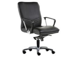 [LT-192] Capricorn Low Back Chair