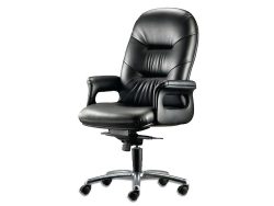 [LT-210] Pisces High Back Chair