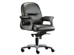 [LT-212] Pisces Low Back Chair