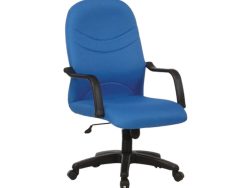 [BL-2001] Medium Back Chair (Budget Seating)