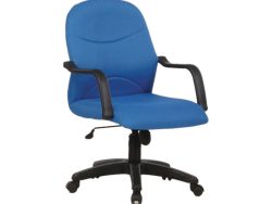 [BL-2002] Low Back Chair (Budget Seating)