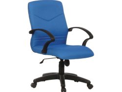[BL-2102] Low Back Chair (Budget Seating)