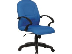 [BL-2202] Low Back Chair (Budget Seating)