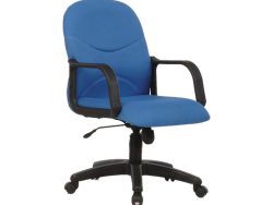 [BL-2502] Low Back Chair (Budget Seating)