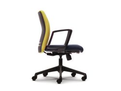 [ERLS 5512F-A66] Ergo Presidential Low Back Chair with Fixed Armrest